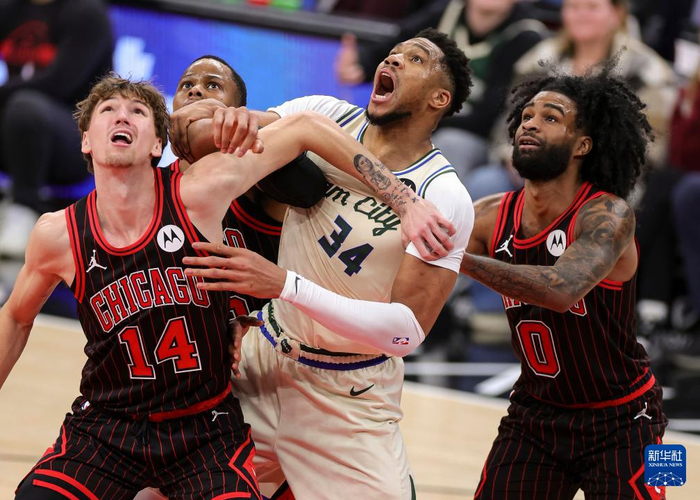 清晨绝杀压哨芝加哥公牛今晨内部沟通，今晨伤情更新看傻球迷的简单介绍